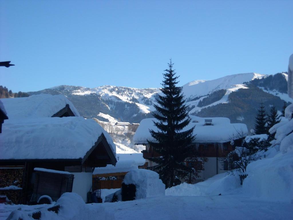 Haus Rieder Georg Appartement Maria Alm am Steinernen Meer Buitenkant foto