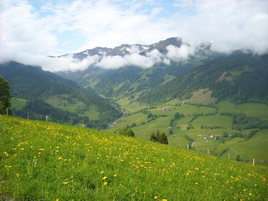 Haus Rieder Georg Appartement Maria Alm am Steinernen Meer Buitenkant foto